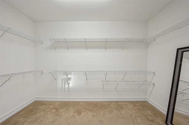 spacious closet featuring light colored carpet