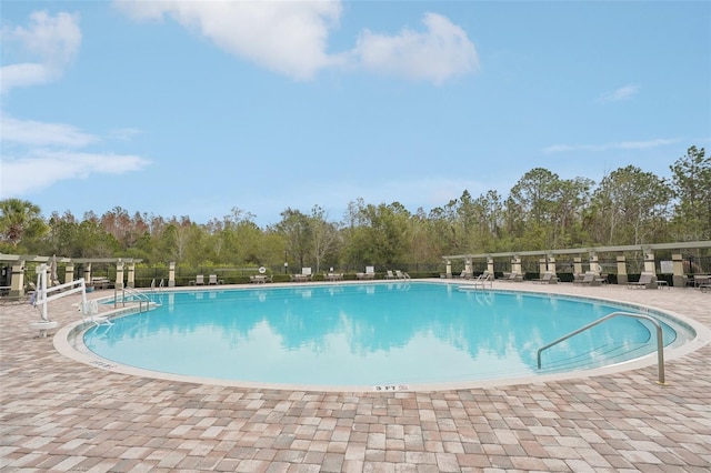 view of pool with a patio