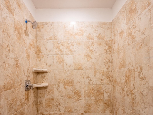 room details with tiled shower