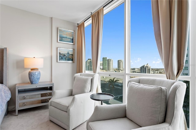 sitting room with light colored carpet and a wealth of natural light