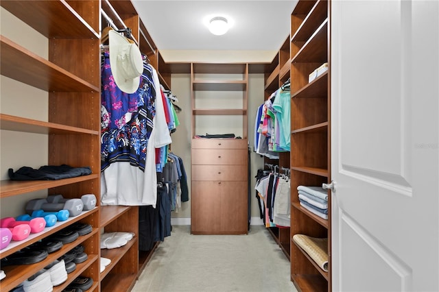 spacious closet with light colored carpet