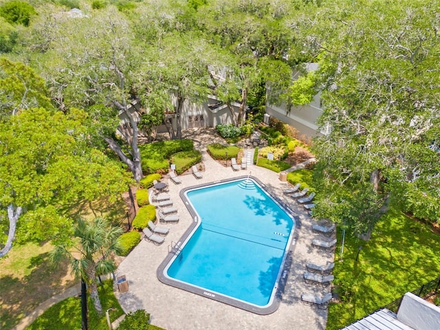 view of pool with a patio