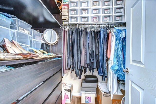 view of spacious closet