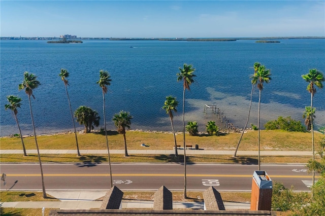 55 Edgewater Dr, Dunedin, FL 34698 - photo 41