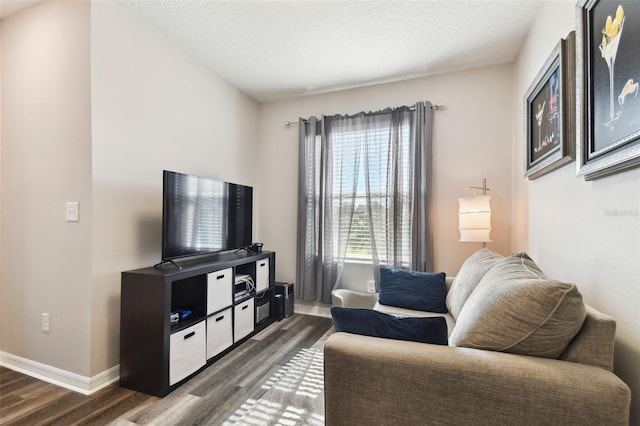 living room featuring hardwood / wood-style flooring and a textured ceiling