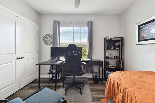 bedroom with ceiling fan, a closet, and dark wood-type flooring