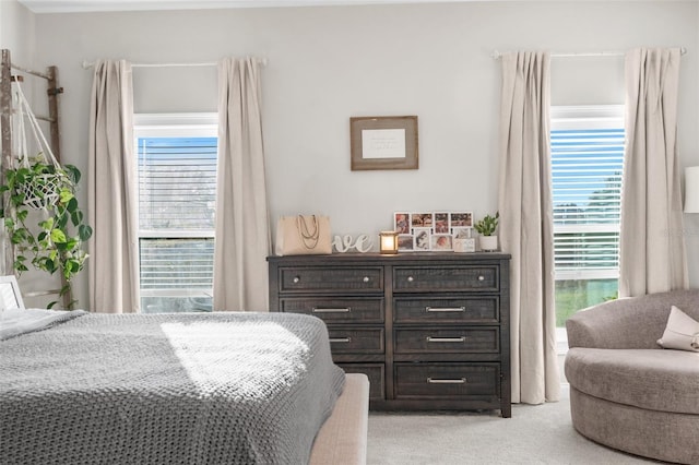 bedroom with multiple windows and light carpet