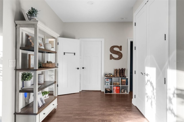 corridor featuring wood finished floors