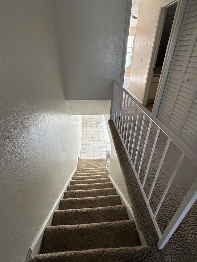 stairs with carpet floors