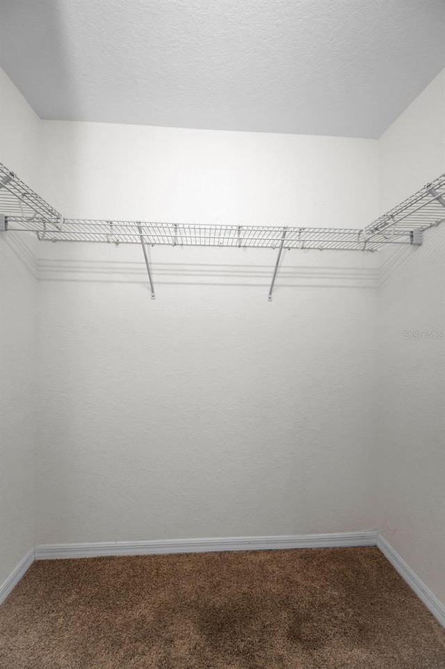 spacious closet with carpet