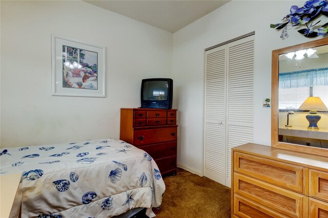 bedroom featuring dark colored carpet and a closet