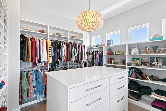 spacious closet with dark wood-type flooring