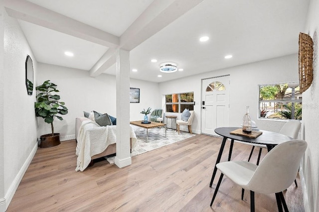 living room featuring light hardwood / wood-style flooring