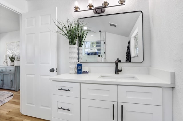 bathroom with wood-type flooring and vanity