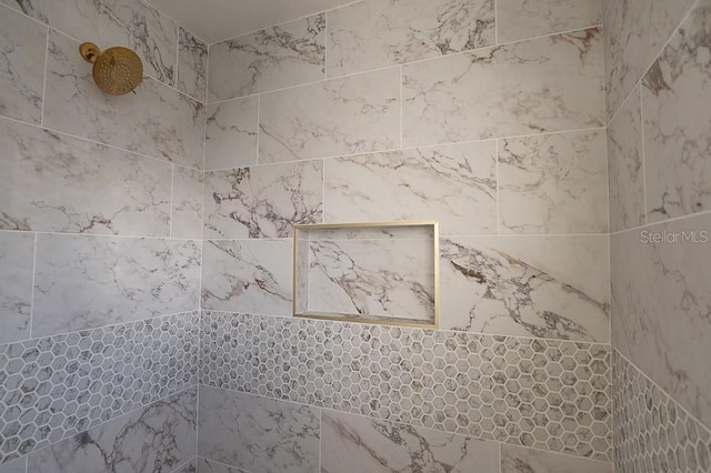 room details with tiled shower