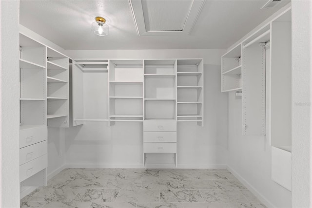 view of spacious closet