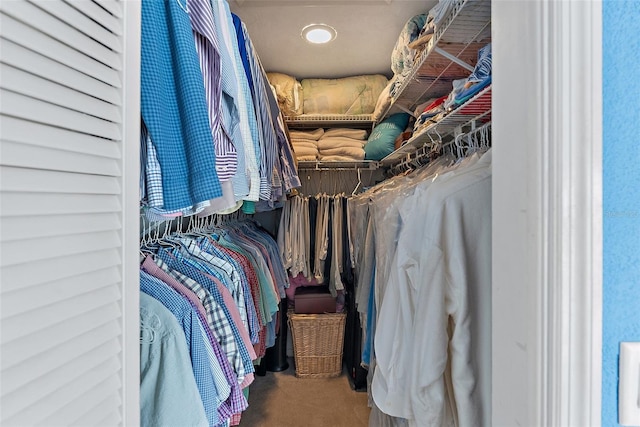 spacious closet featuring carpet