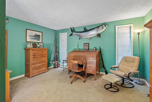 sitting room featuring a textured ceiling and light carpet