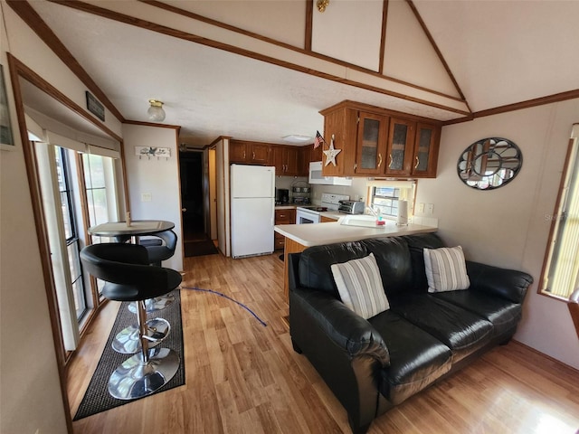 living room featuring light hardwood / wood-style floors, vaulted ceiling, ornamental molding, and sink