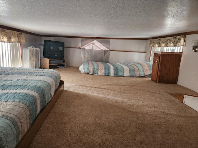 bedroom with carpet flooring, multiple windows, and a textured ceiling