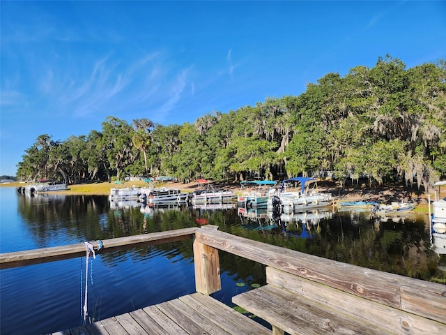 view of dock with a water view