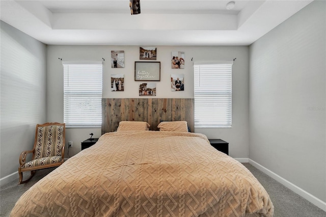 carpeted bedroom with a tray ceiling