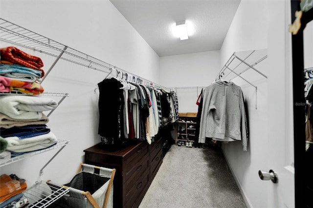 spacious closet featuring carpet flooring