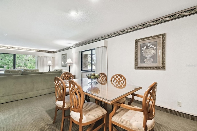 carpeted dining area with a healthy amount of sunlight and a textured ceiling