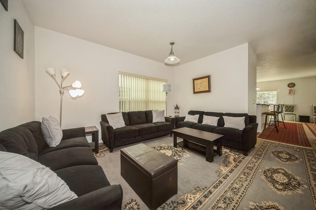 living room featuring a textured ceiling and light carpet