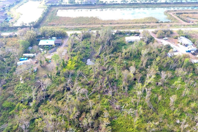 0 Bill Tucker Rd, Wimauma, FL 33598 - photo 6