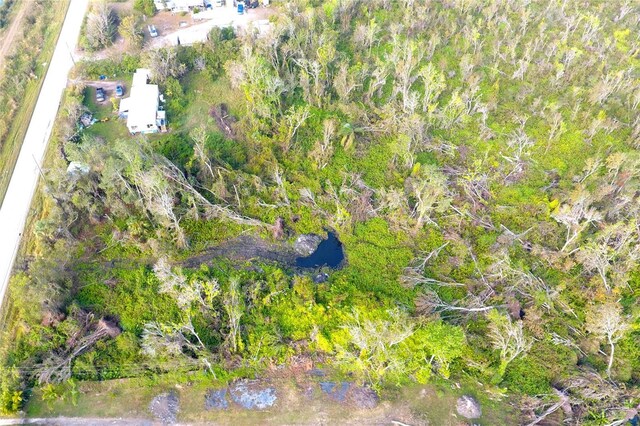 0 Bill Tucker Rd, Wimauma, FL 33598 - photo 8