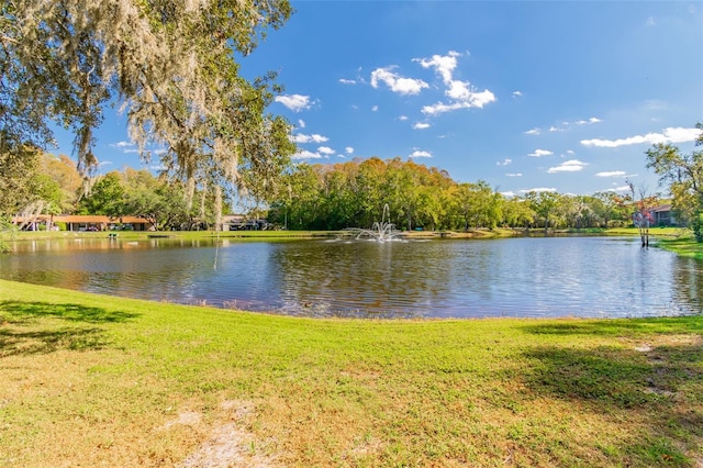 property view of water