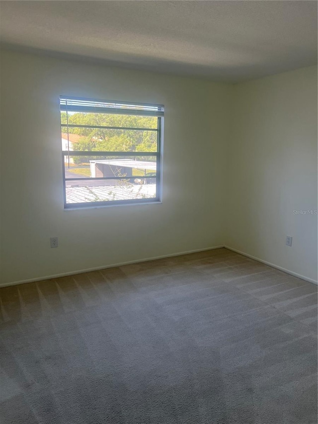 empty room featuring carpet flooring