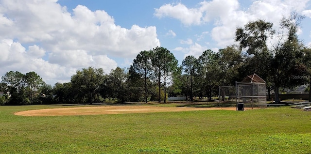 view of community with a yard