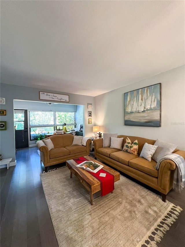 living room featuring hardwood / wood-style floors