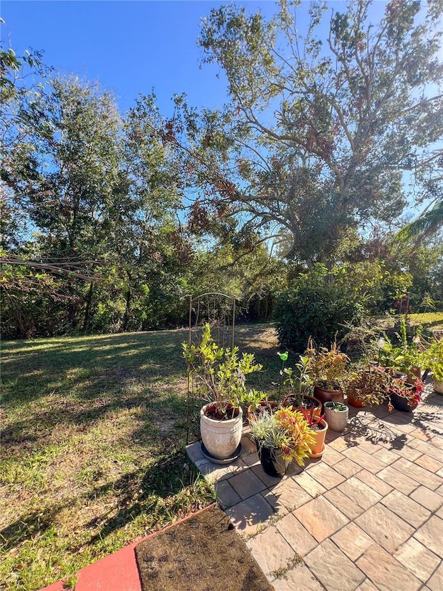 view of yard with a patio area