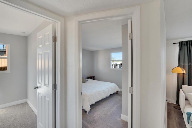 bedroom featuring carpet flooring