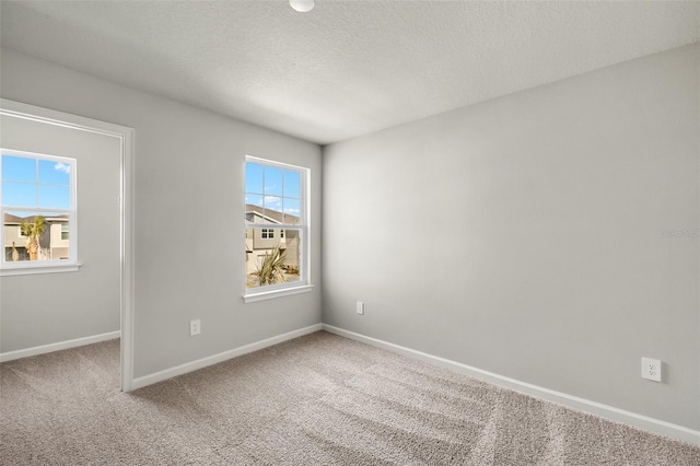 spare room featuring carpet flooring and a textured ceiling