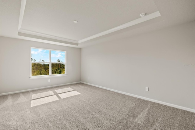 carpeted spare room featuring a tray ceiling