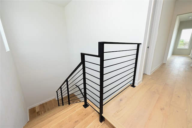 stairway with hardwood / wood-style flooring