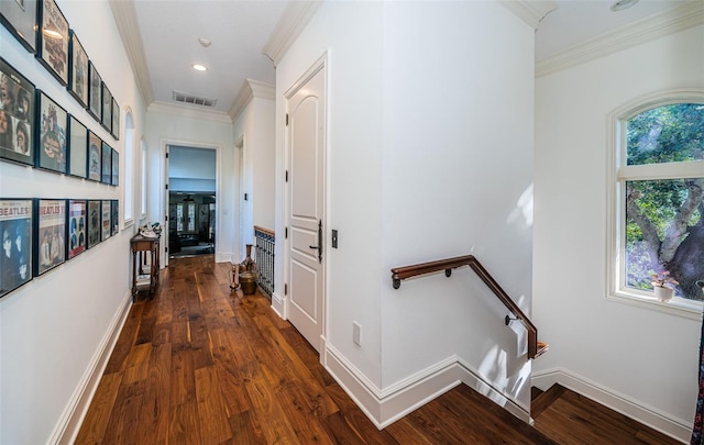 hallway featuring ornamental molding and dark wood-type flooring