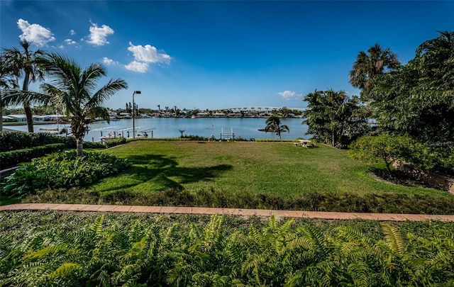 118 Harbor View Ln, Belleair Bluffs, FL 33770 - photo 79
