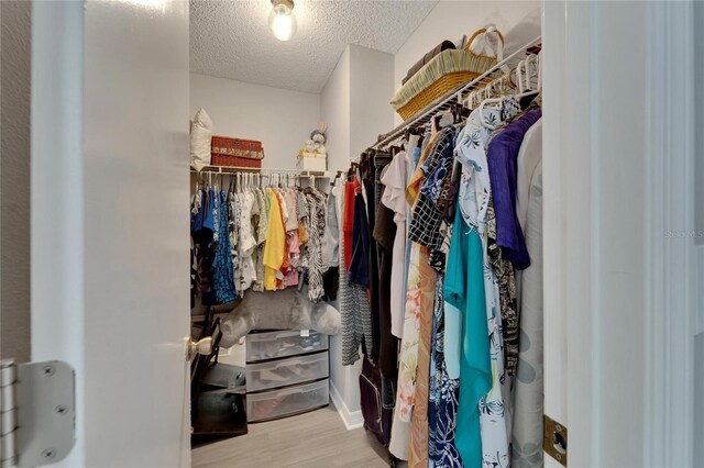 walk in closet with light wood-type flooring