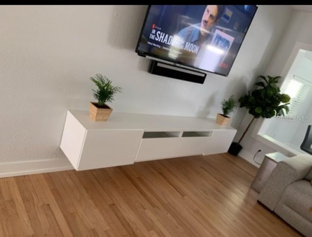 living room featuring baseboards and wood finished floors