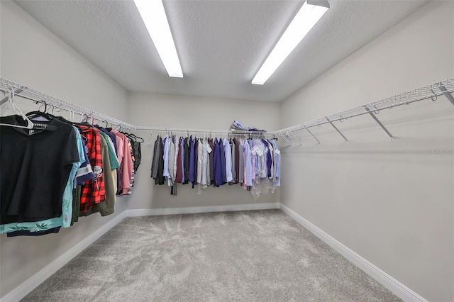 walk in closet with carpet flooring