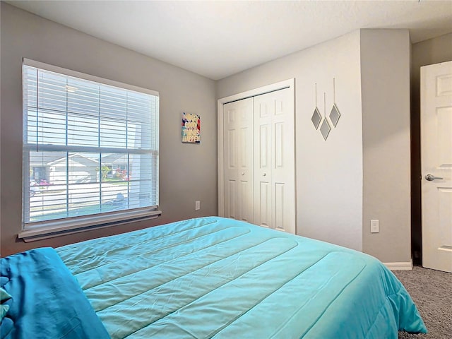 bedroom featuring carpet flooring and a closet