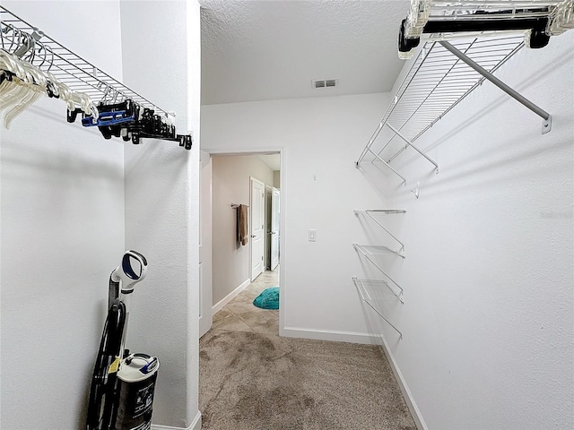 spacious closet with light carpet