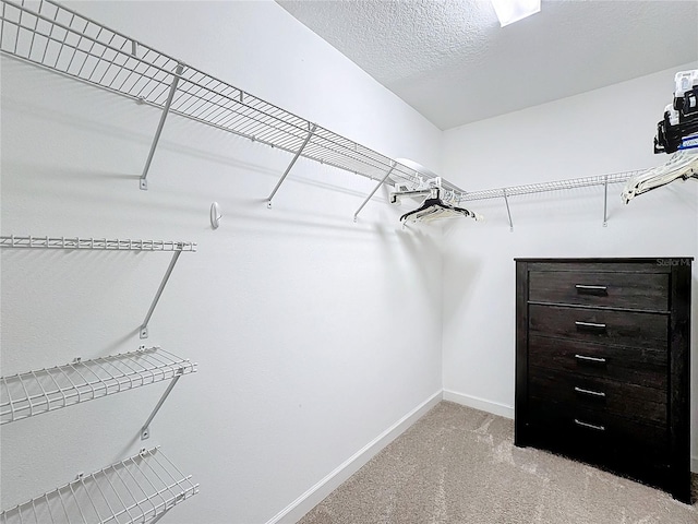 walk in closet with light carpet