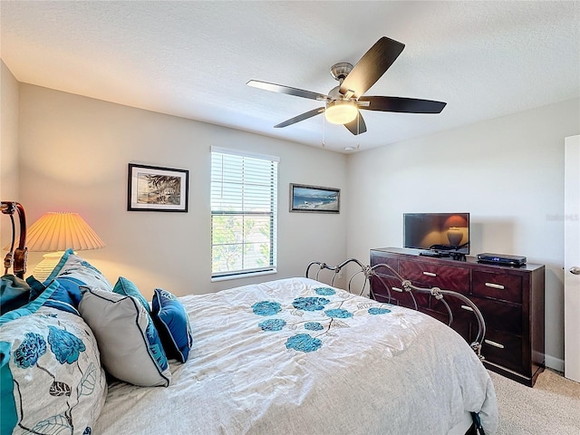 16847 Whisper Elm St, Wimauma, FL 33598 - photo 39