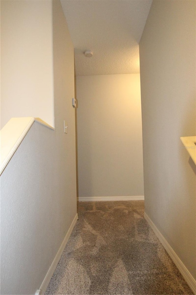 hall with carpet flooring and a textured ceiling